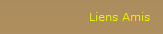 Liens Amis